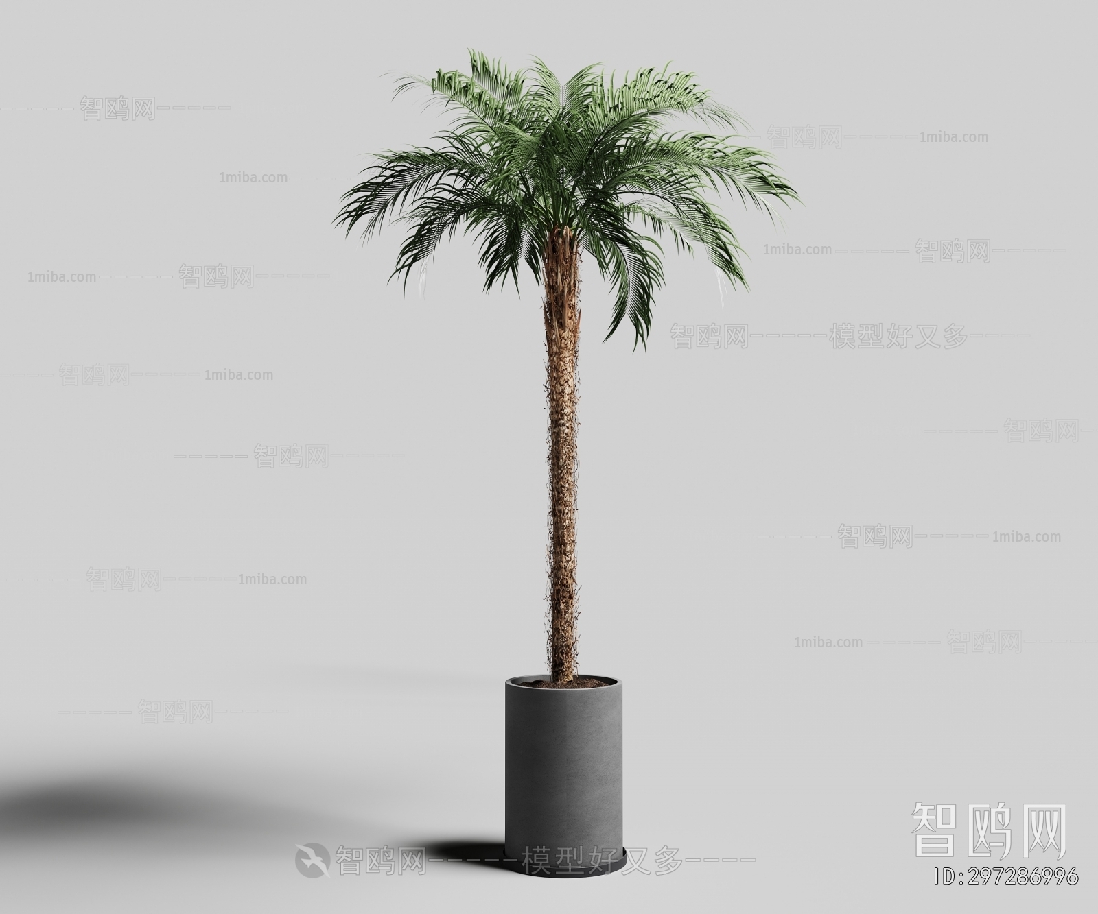Modern Ground Green Plant Potted Plants