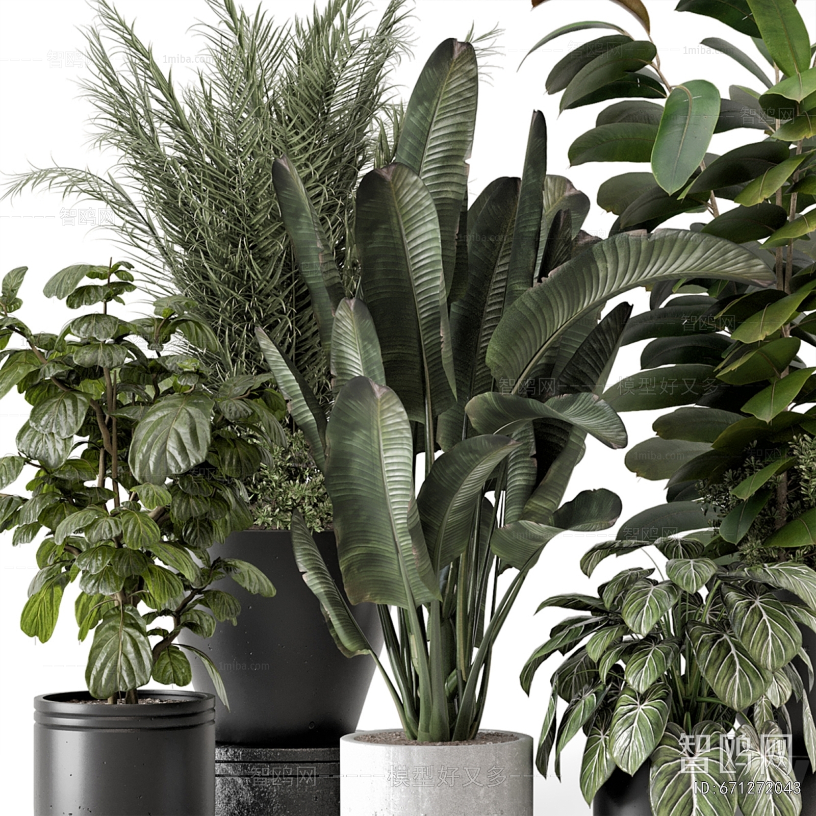 Modern Ground Green Plant Potted Plants