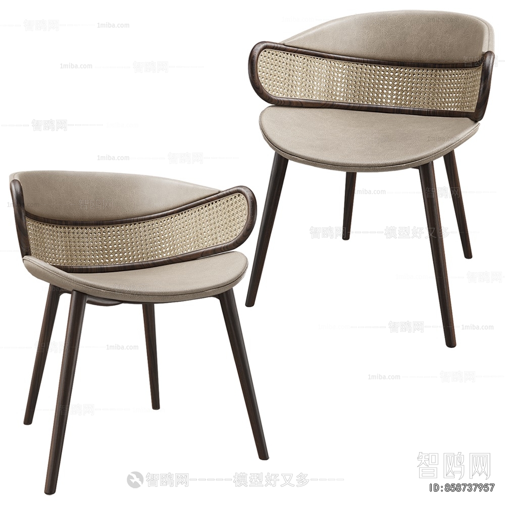 Modern Dining Chair