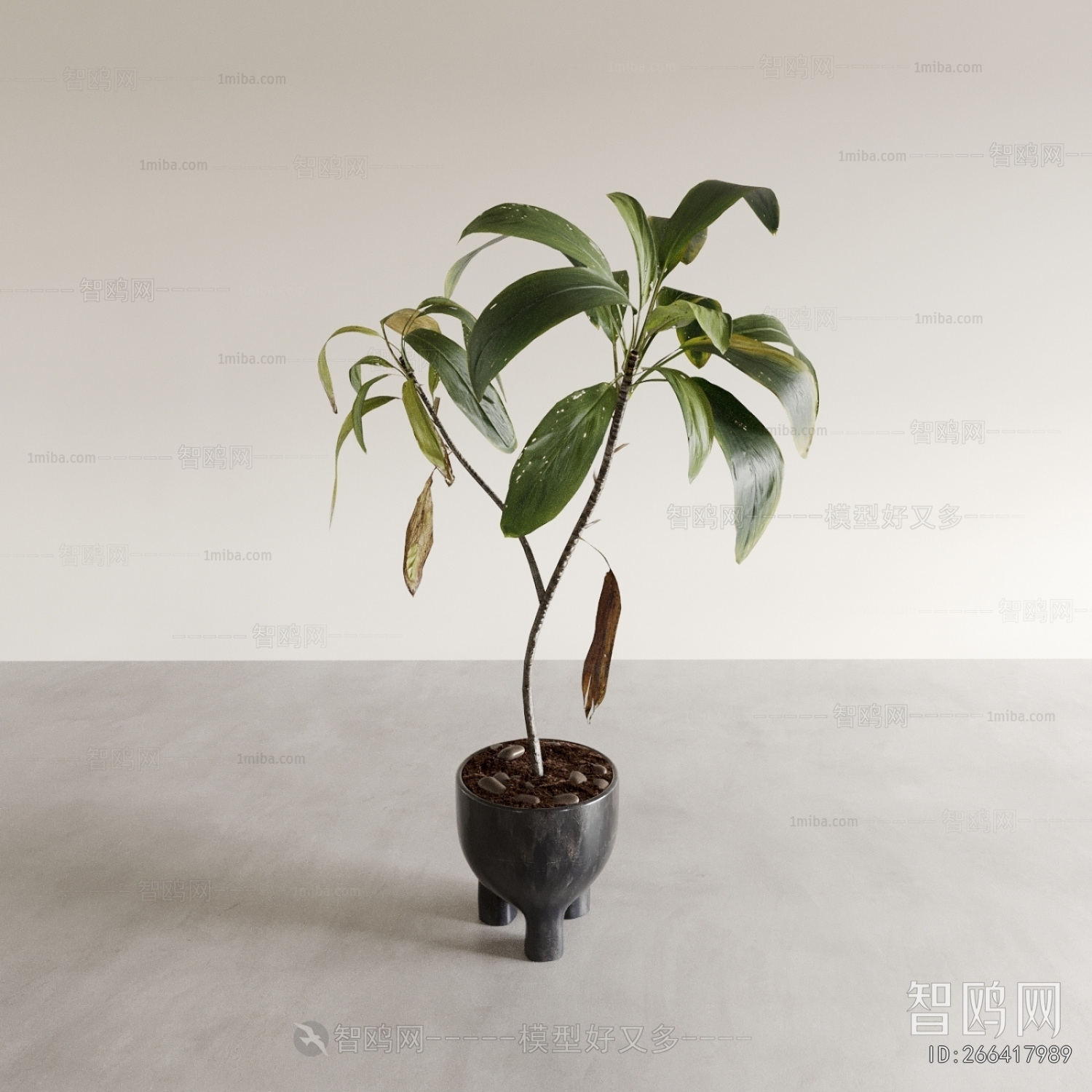 Modern Ground Green Plant Potted Plants