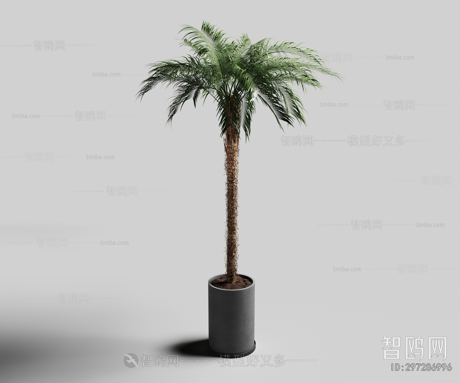 Modern Ground Green Plant Potted Plants