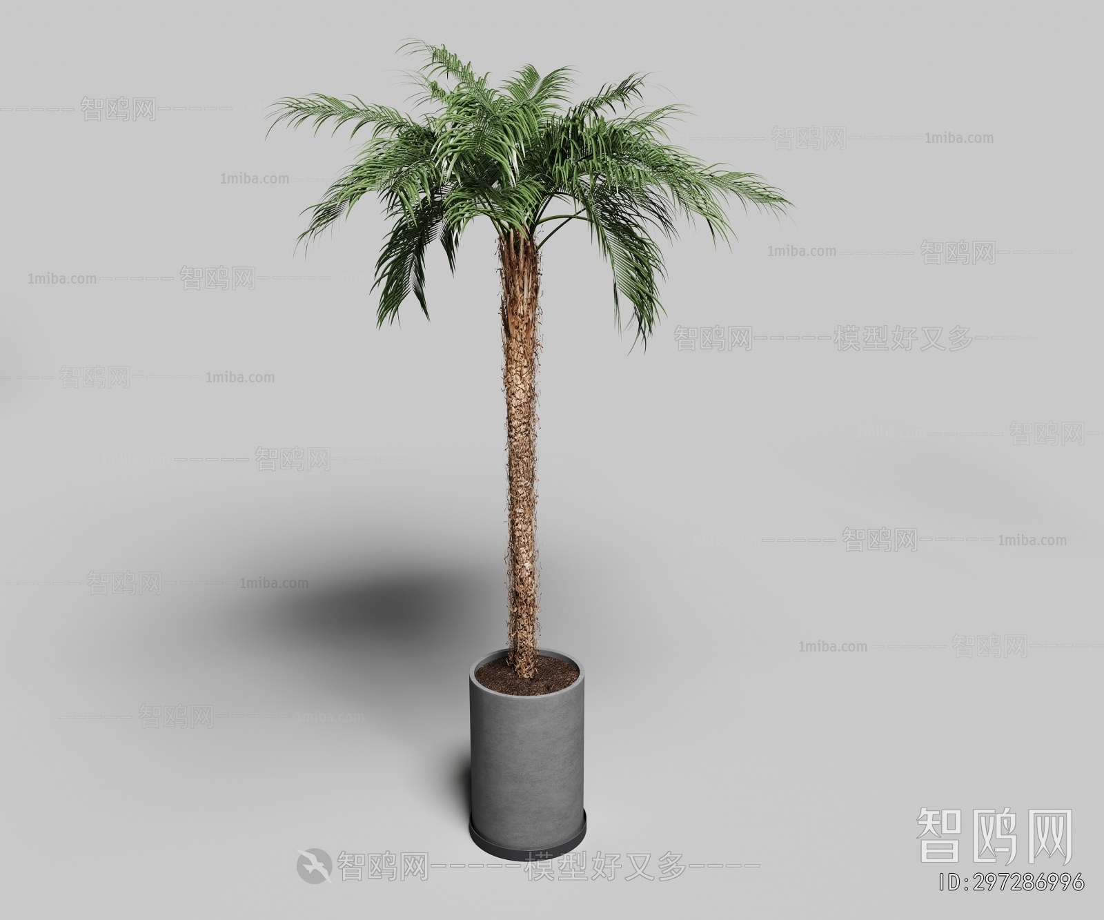 Modern Ground Green Plant Potted Plants