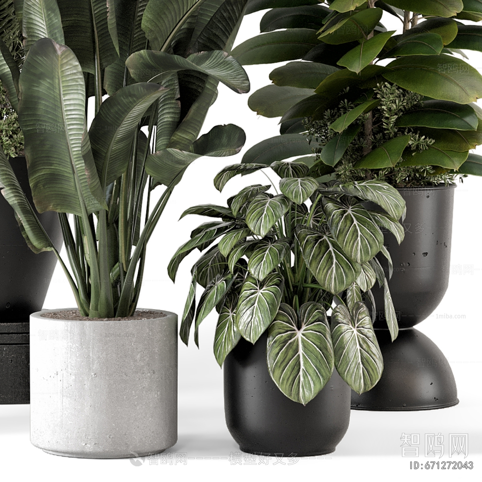 Modern Ground Green Plant Potted Plants