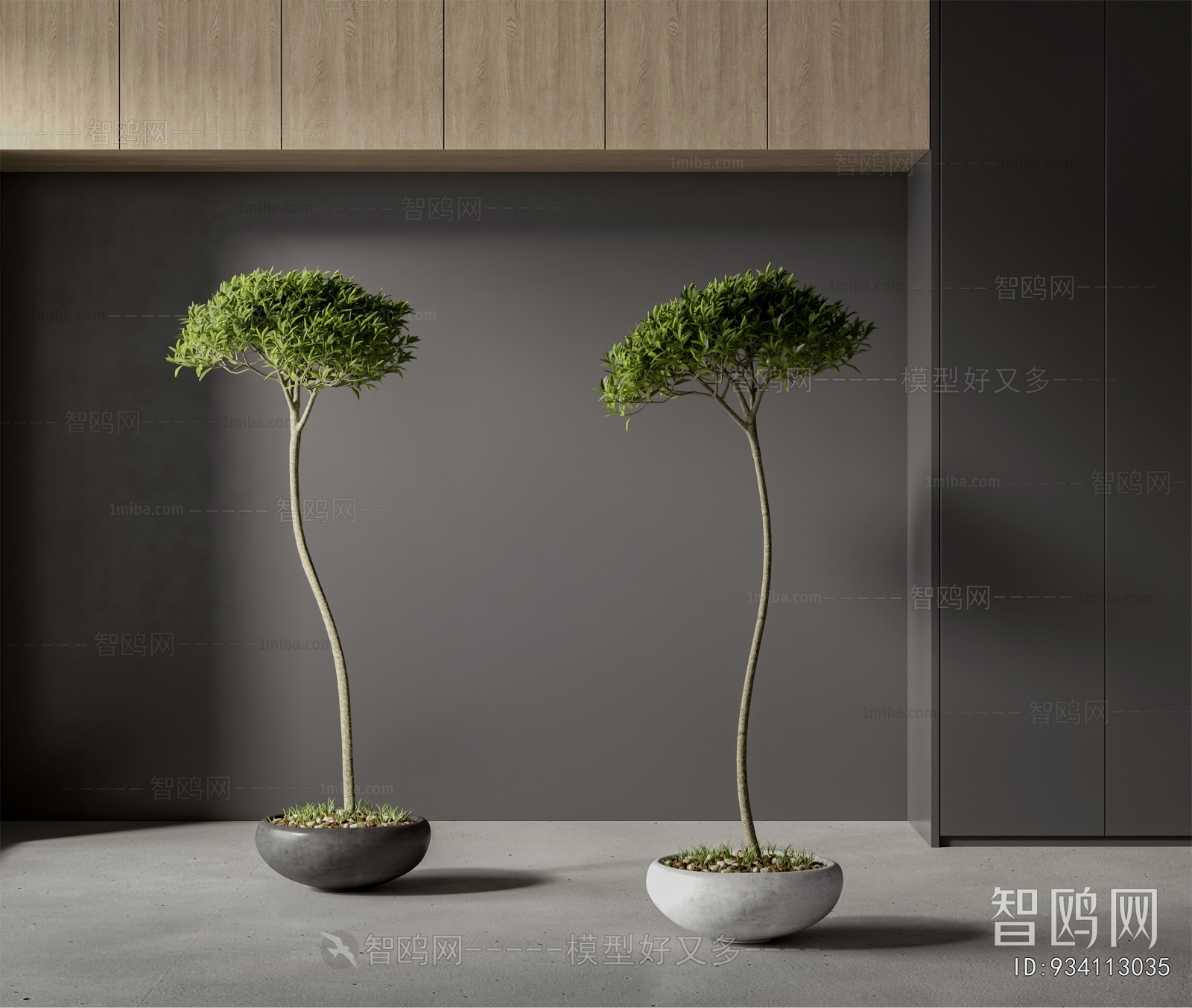 Modern Ground Green Plant Potted Plants