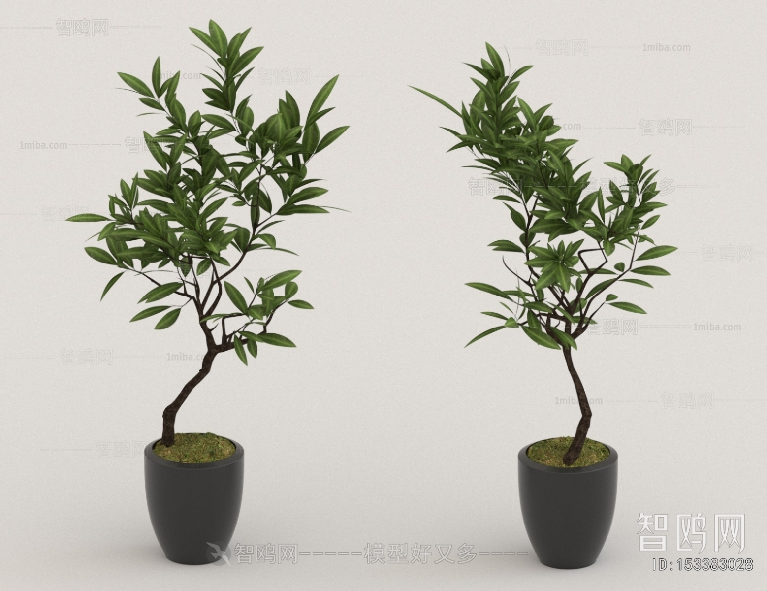 Modern Ground Green Plant Potted Plants