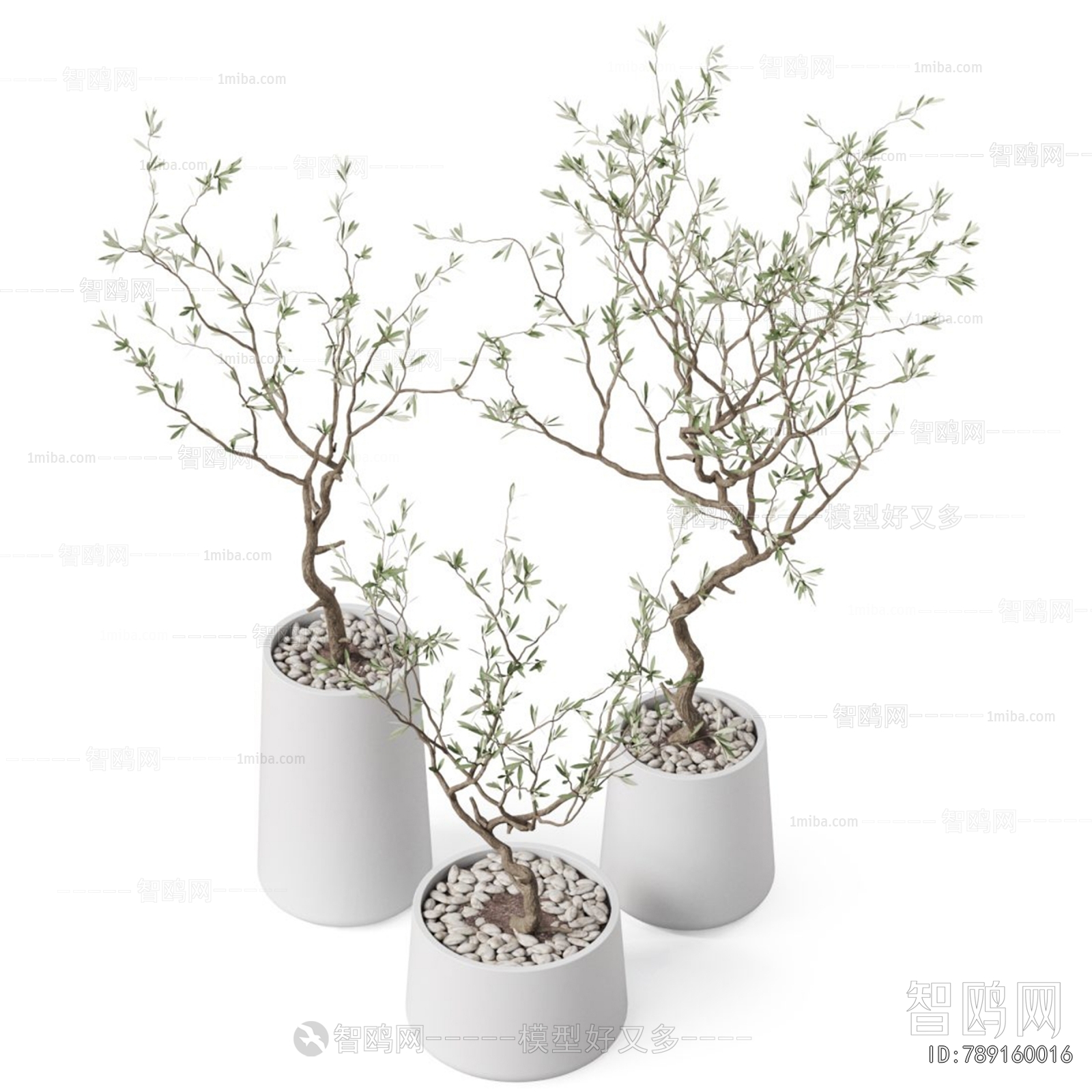 Modern Ground Green Plant Potted Plants