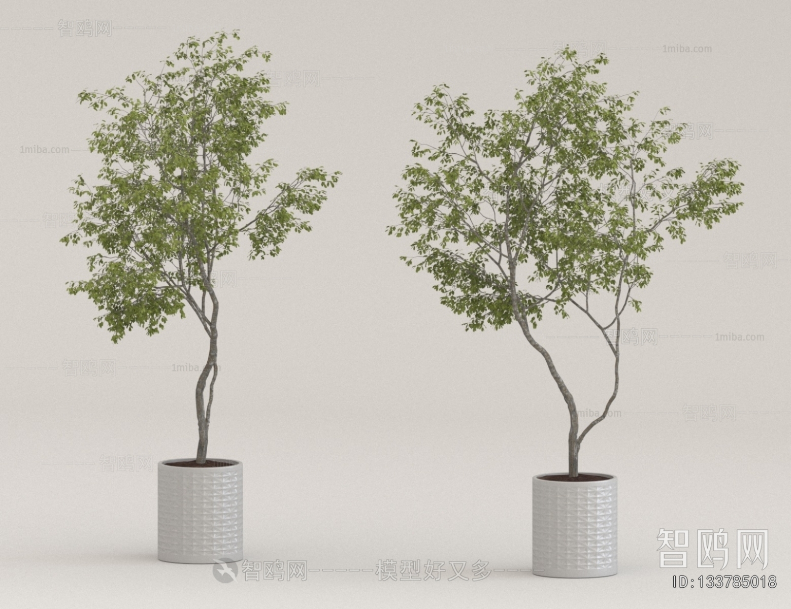 Modern Ground Green Plant Potted Plants