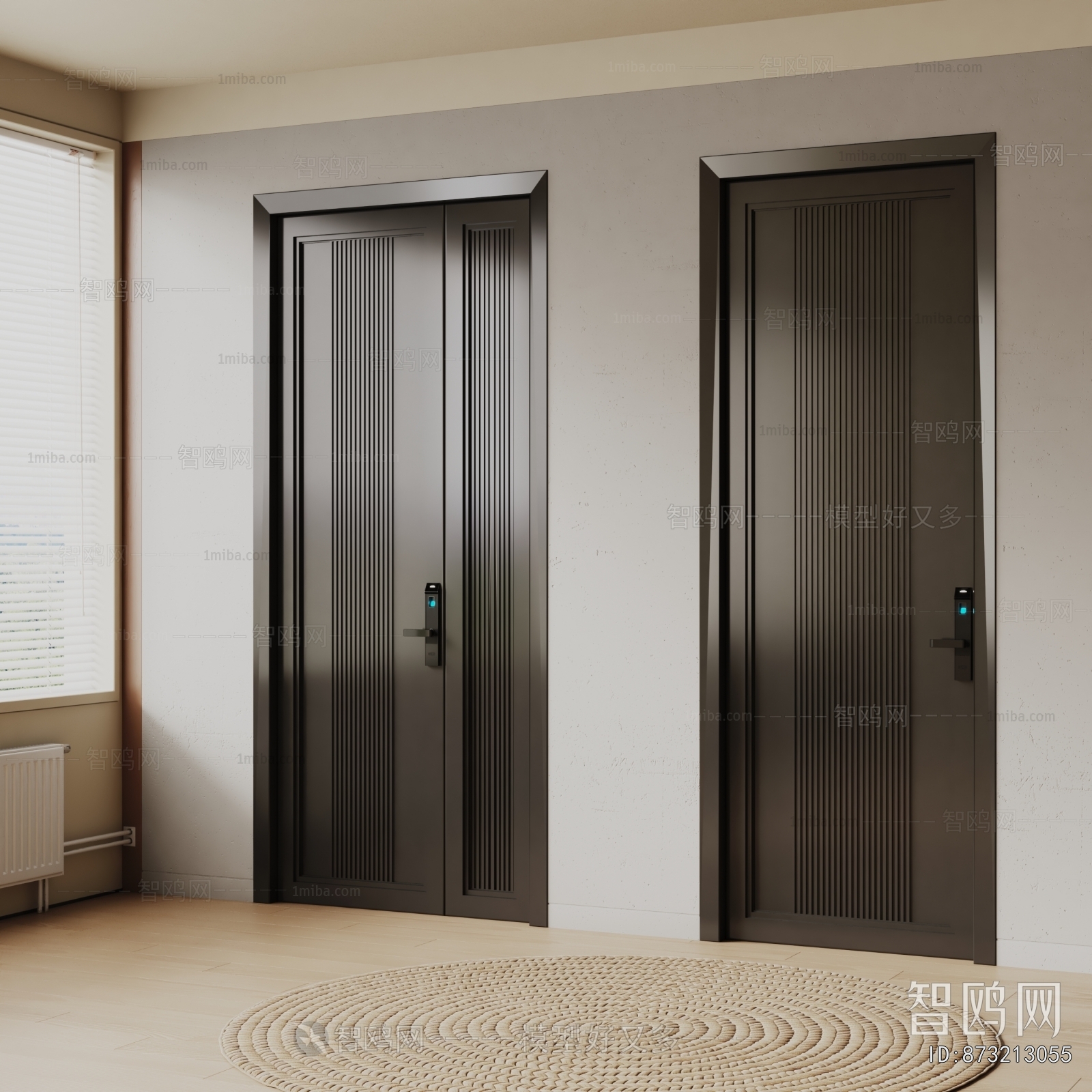 Modern Entrance Door