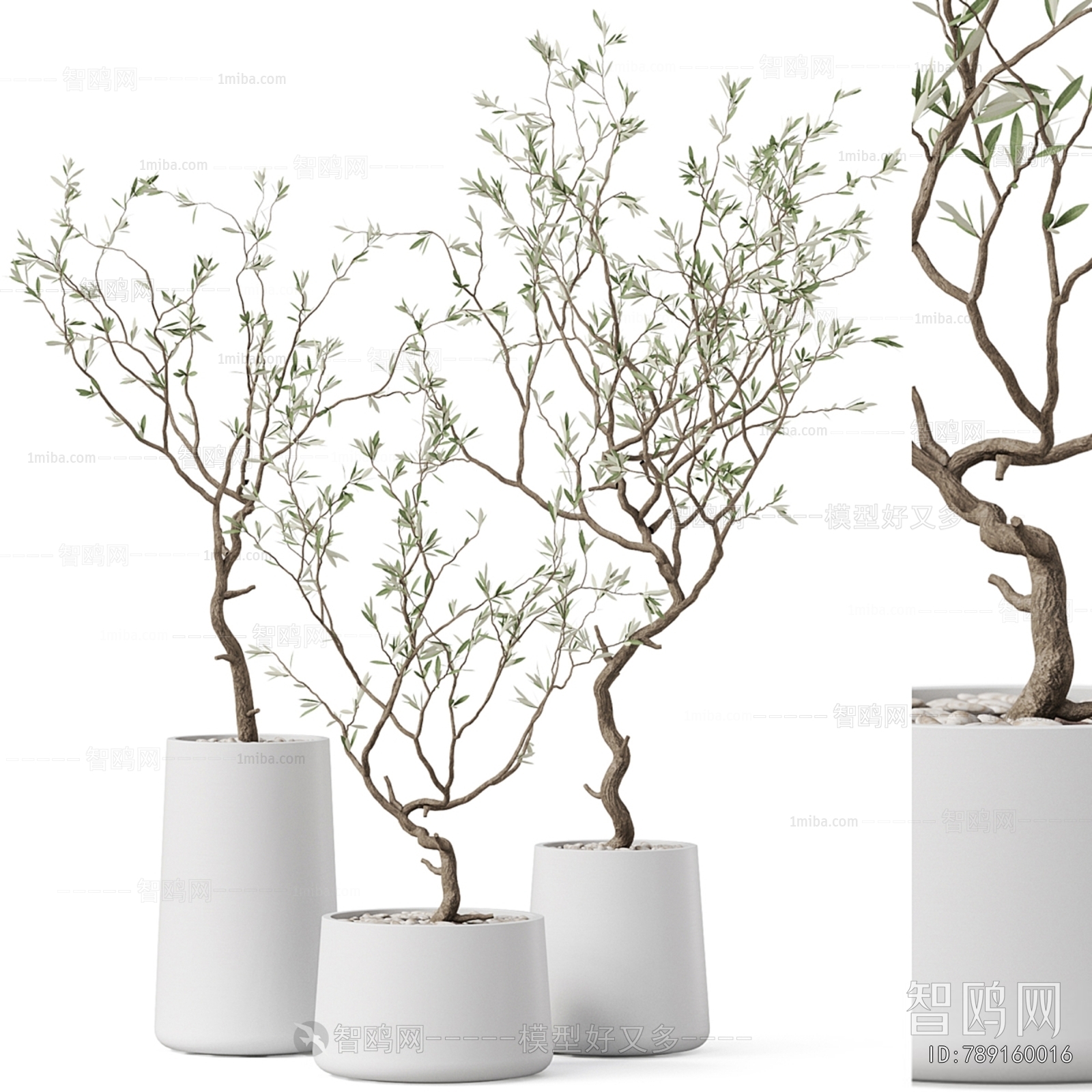 Modern Ground Green Plant Potted Plants