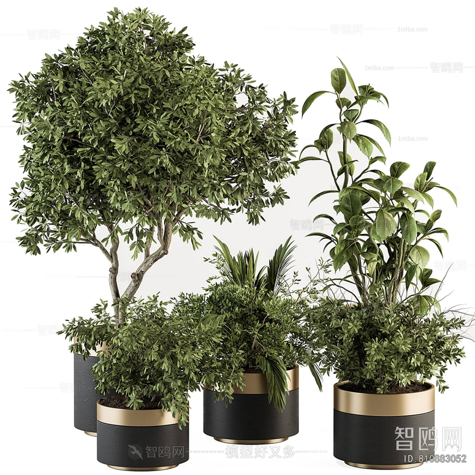 Modern Ground Green Plant Potted Plants