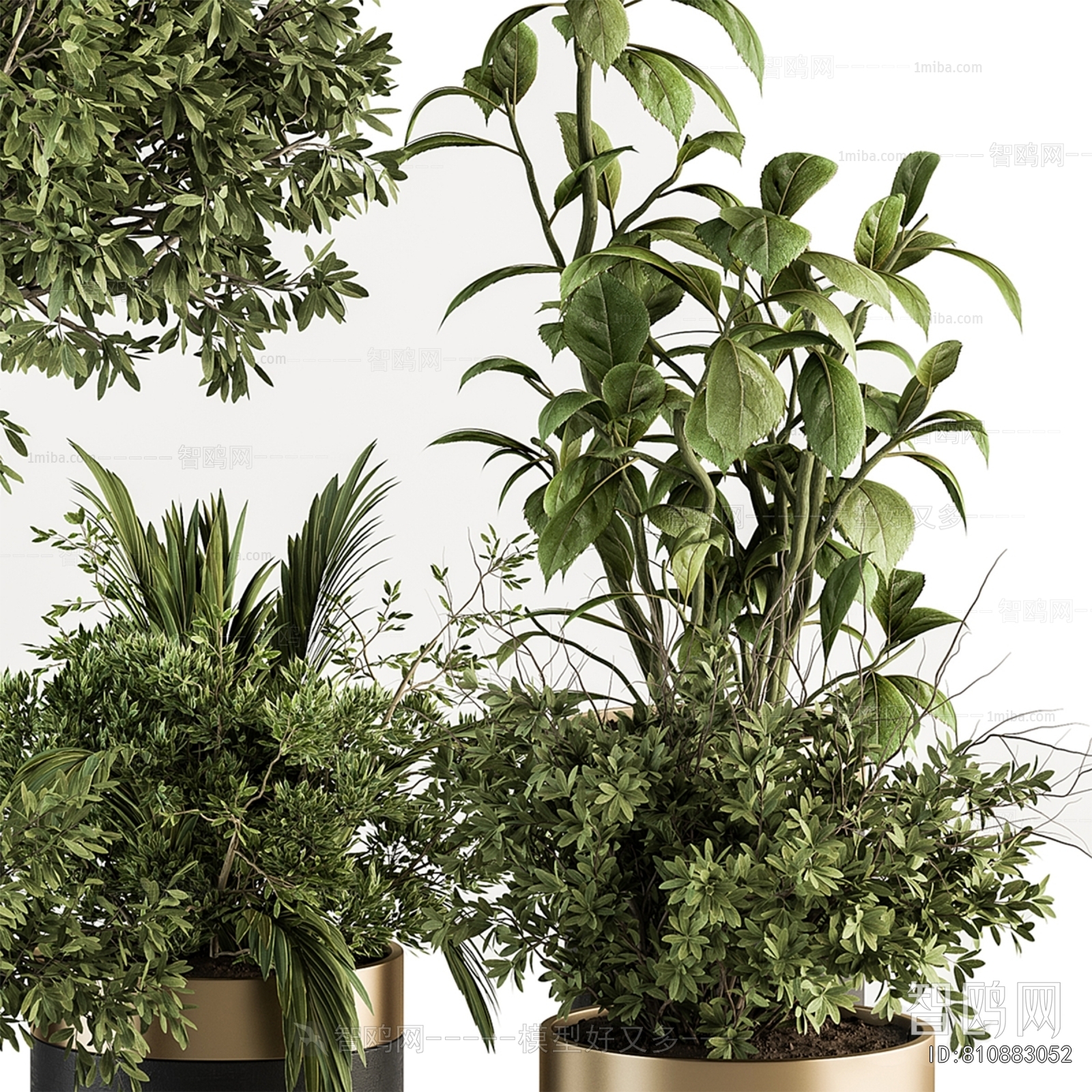 Modern Ground Green Plant Potted Plants