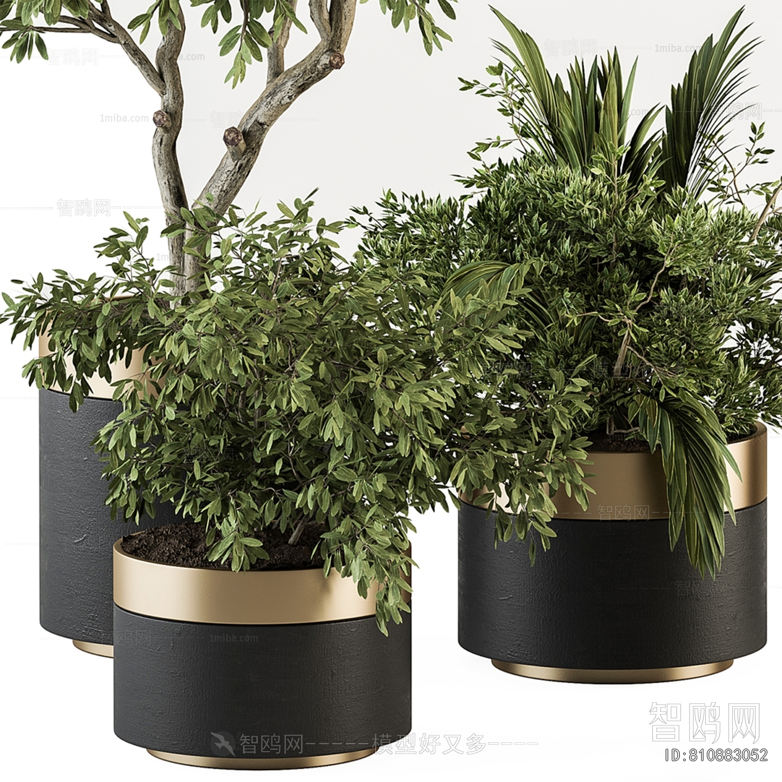 Modern Ground Green Plant Potted Plants