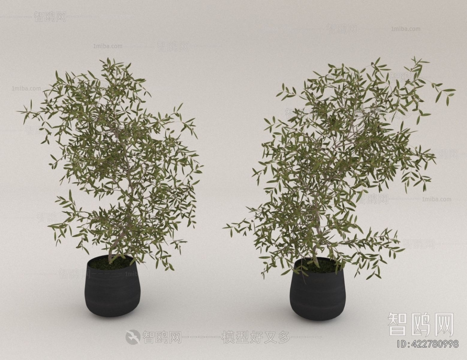 Modern Ground Green Plant Potted Plants