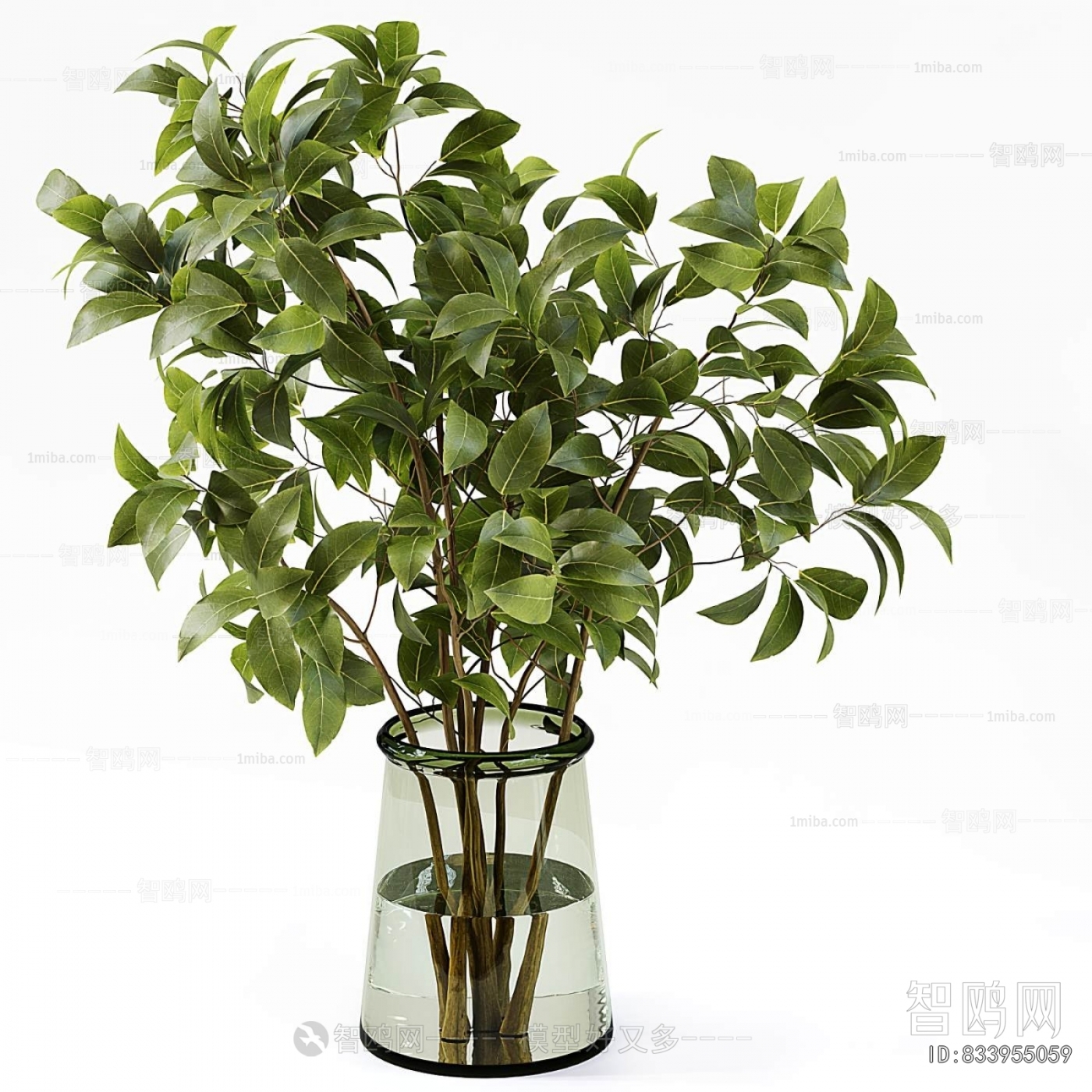 Modern Aquatic Green Plant