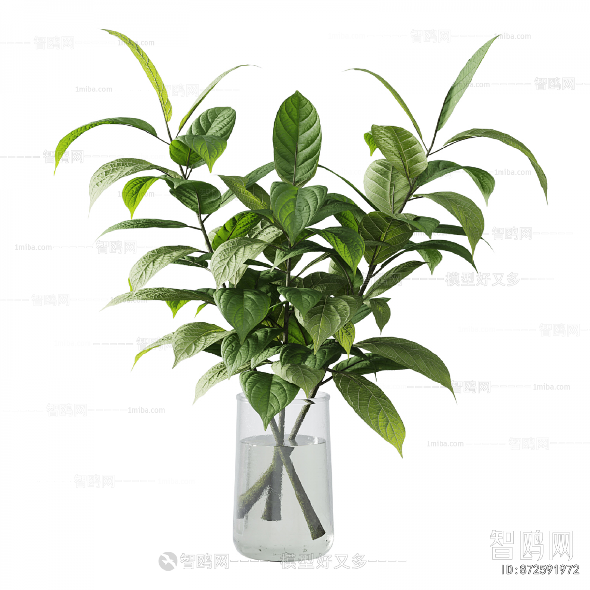 Modern Aquatic Green Plant