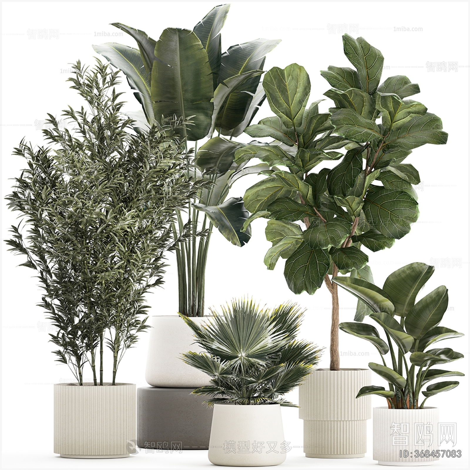 Modern Ground Green Plant Potted Plants