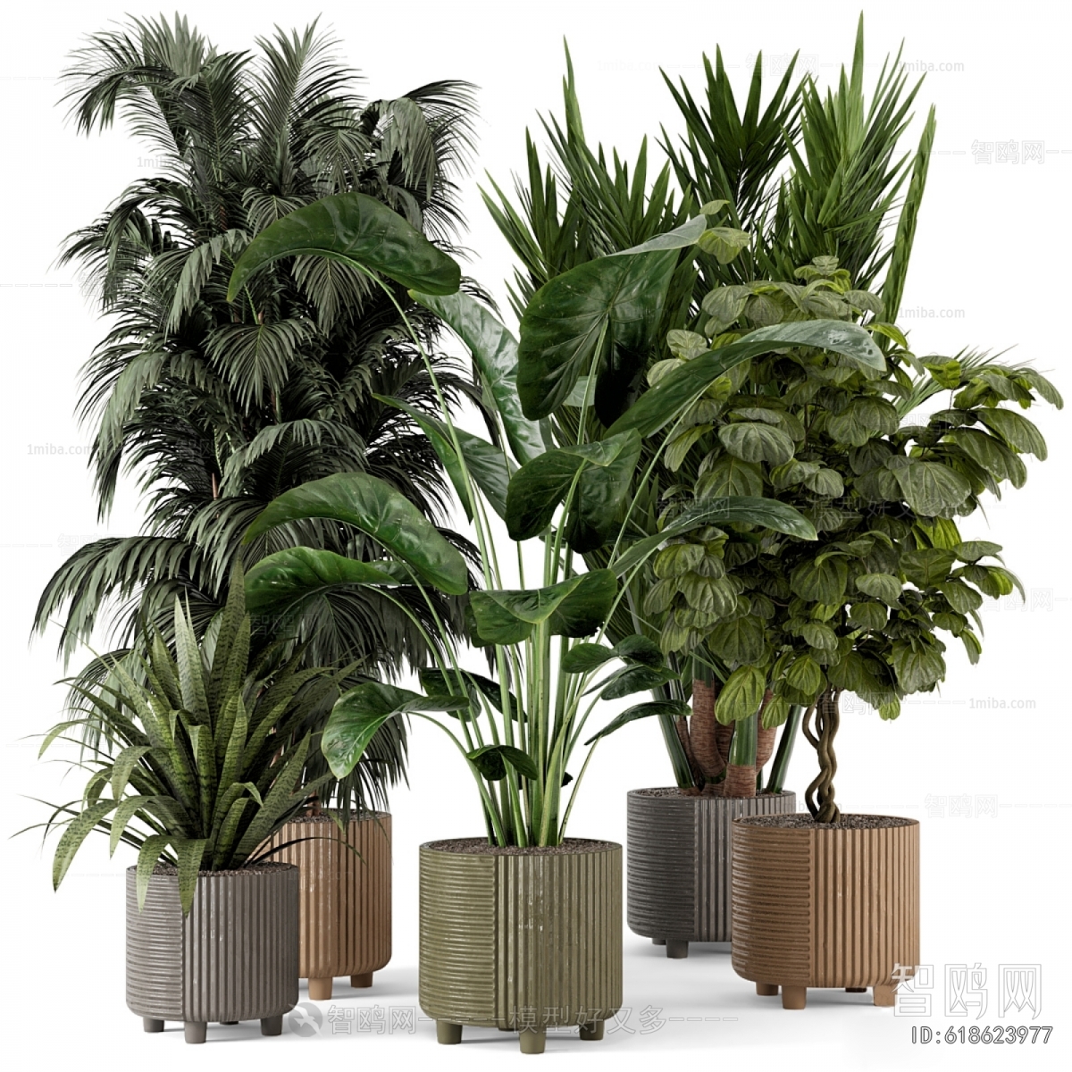 Modern Ground Green Plant Potted Plants