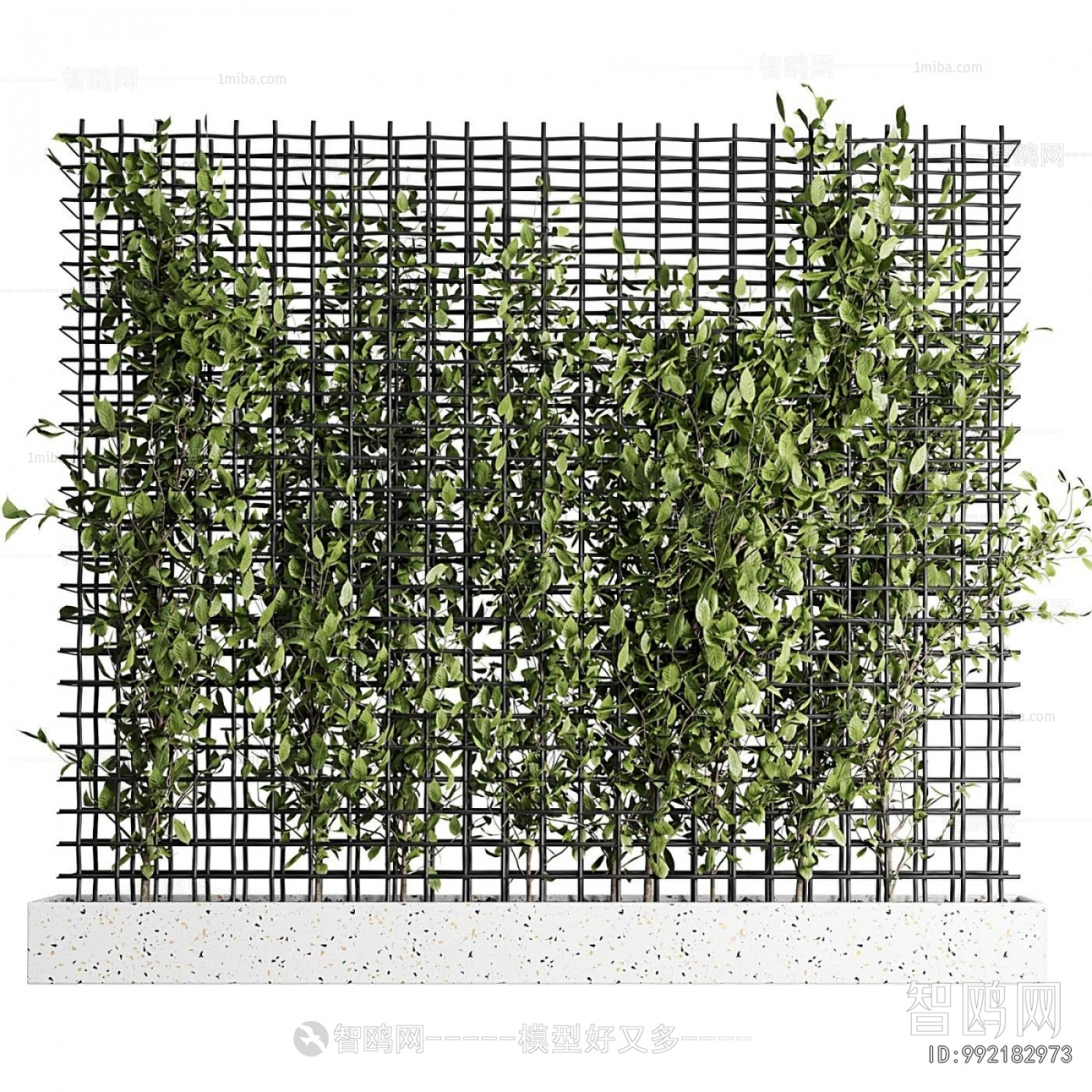 Modern Plant Wall