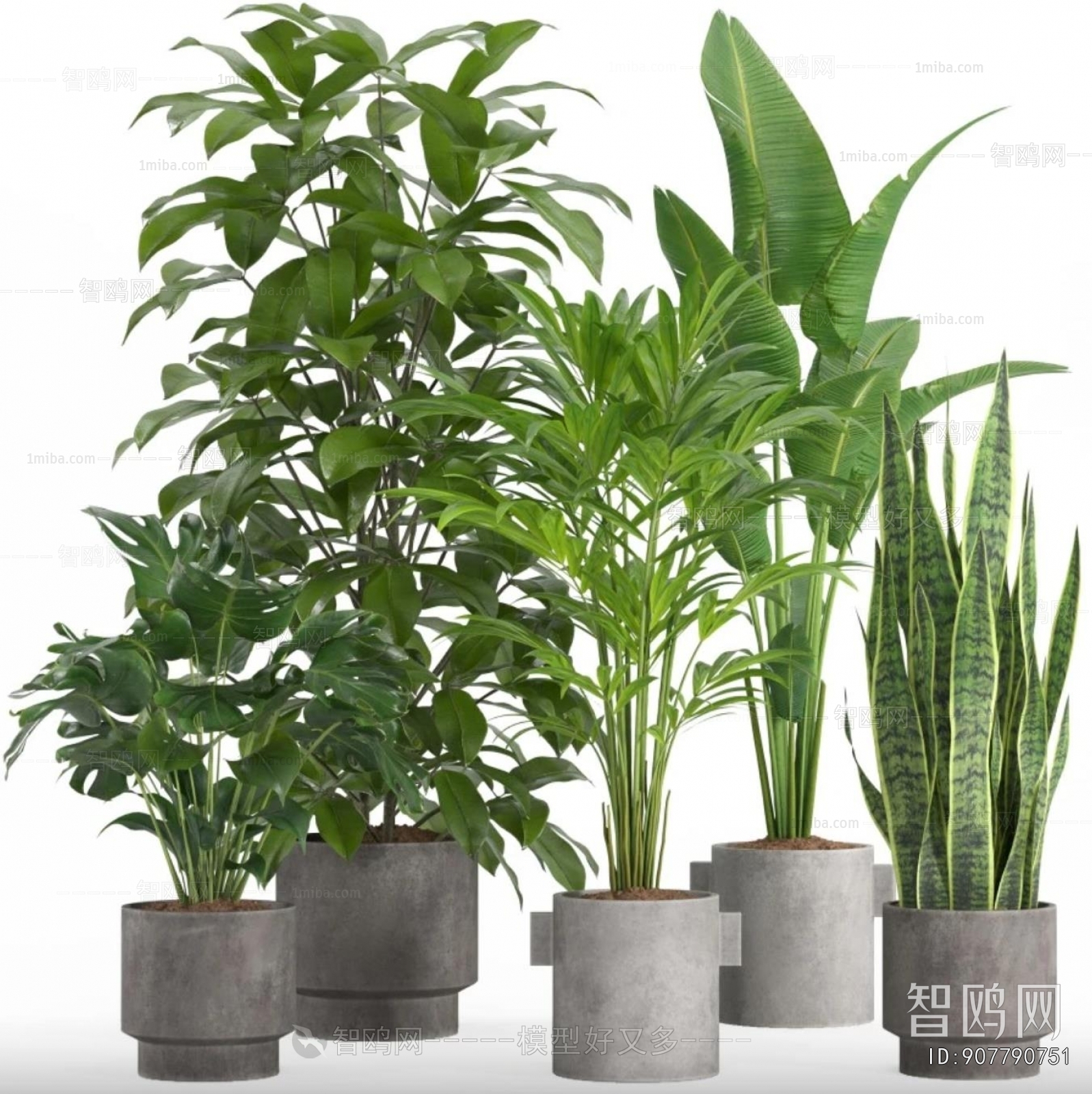 Modern Ground Green Plant Potted Plants