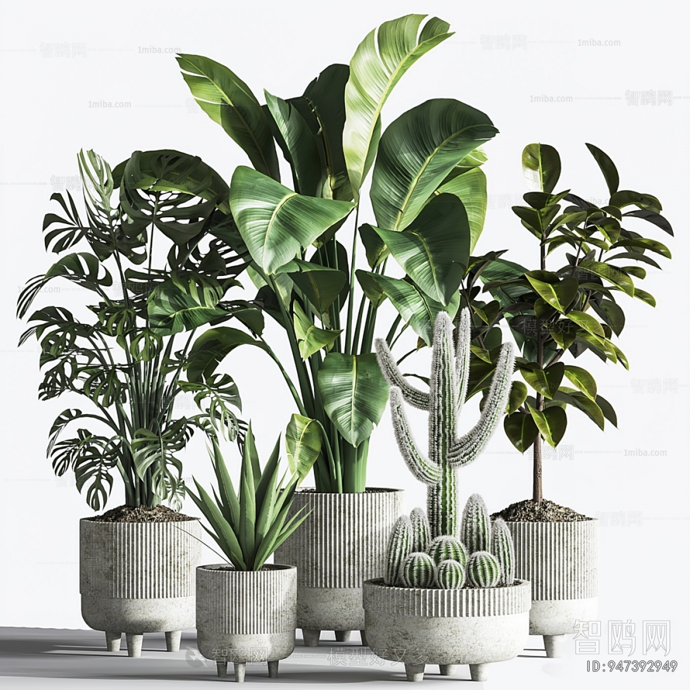 Modern Ground Green Plant Potted Plants