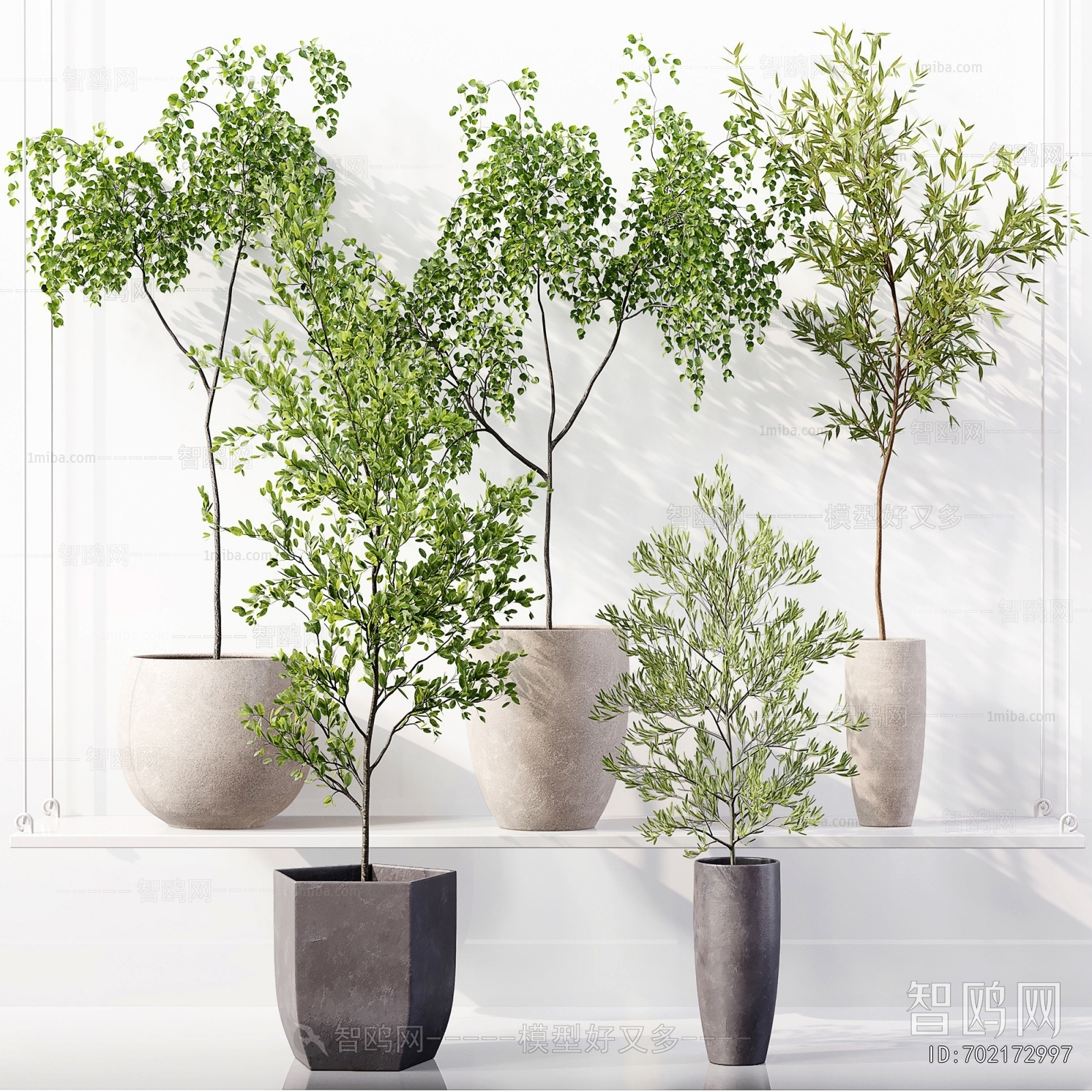 Modern Ground Green Plant Potted Plants