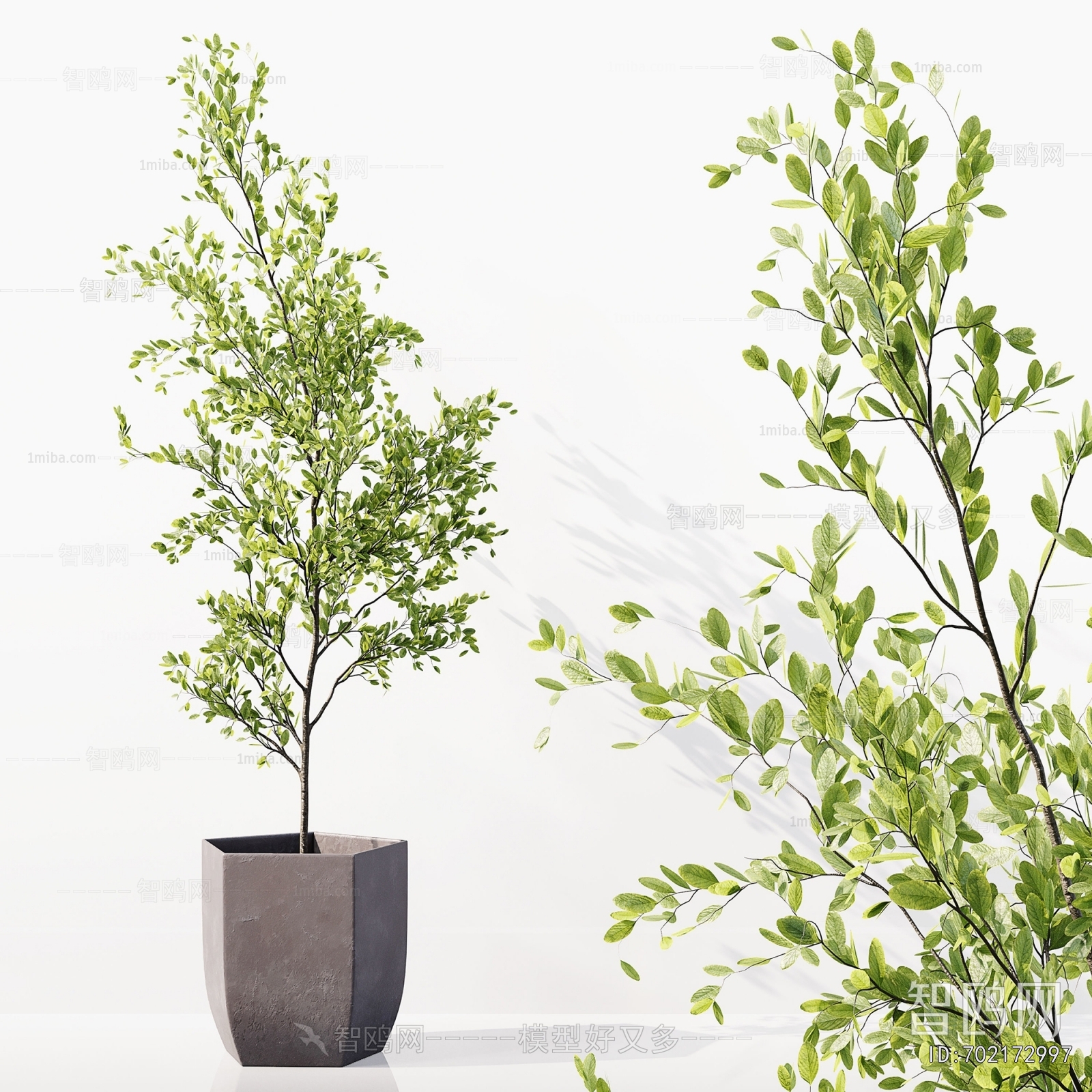 Modern Ground Green Plant Potted Plants