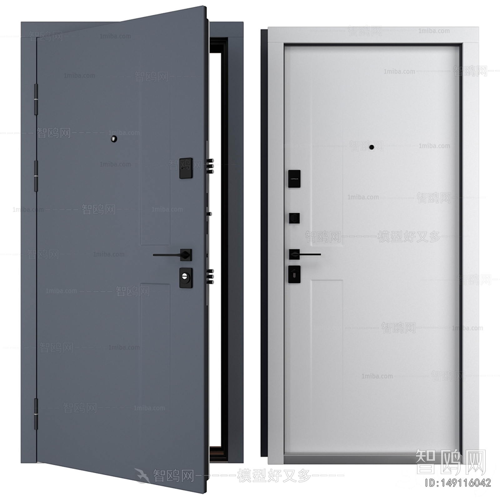 Modern Entrance Door