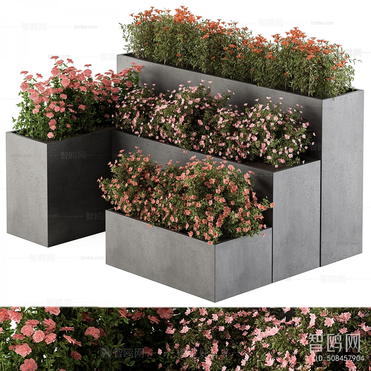 Modern Flower Bed, Flower Bowl, Flower Box