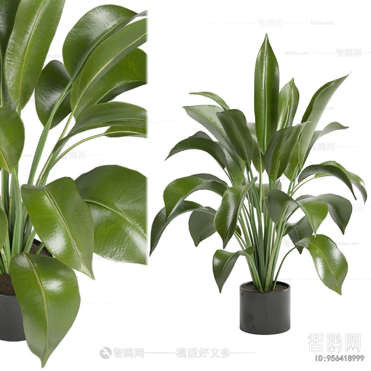 Modern Ground Green Plant Potted Plants