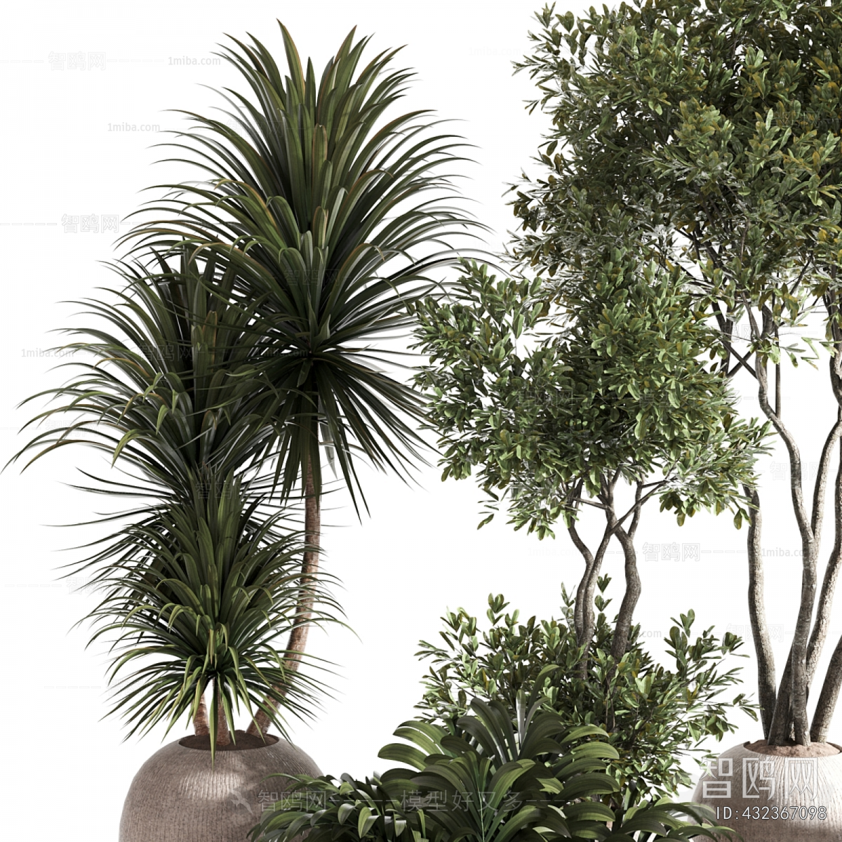 Modern Ground Green Plant Potted Plants