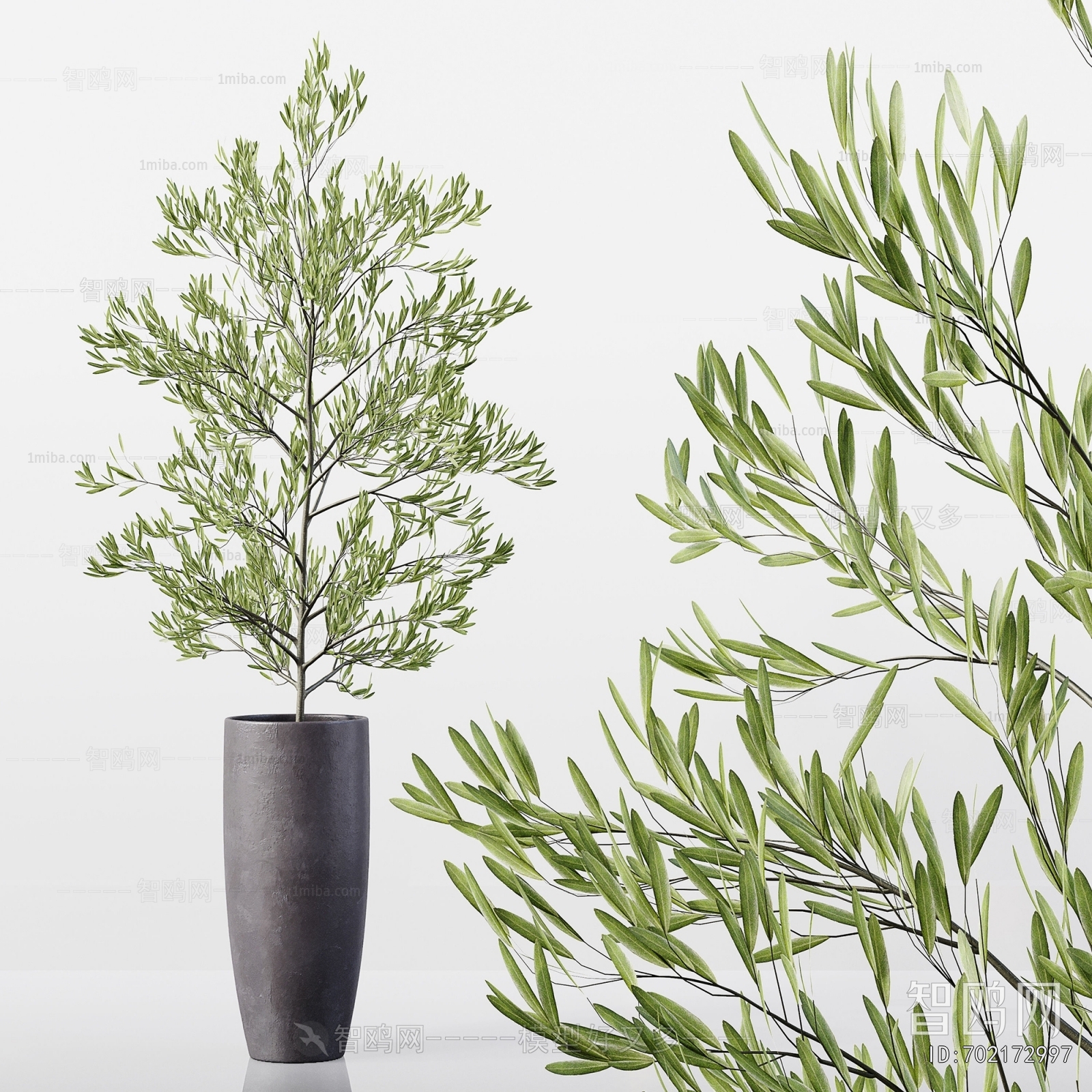 Modern Ground Green Plant Potted Plants