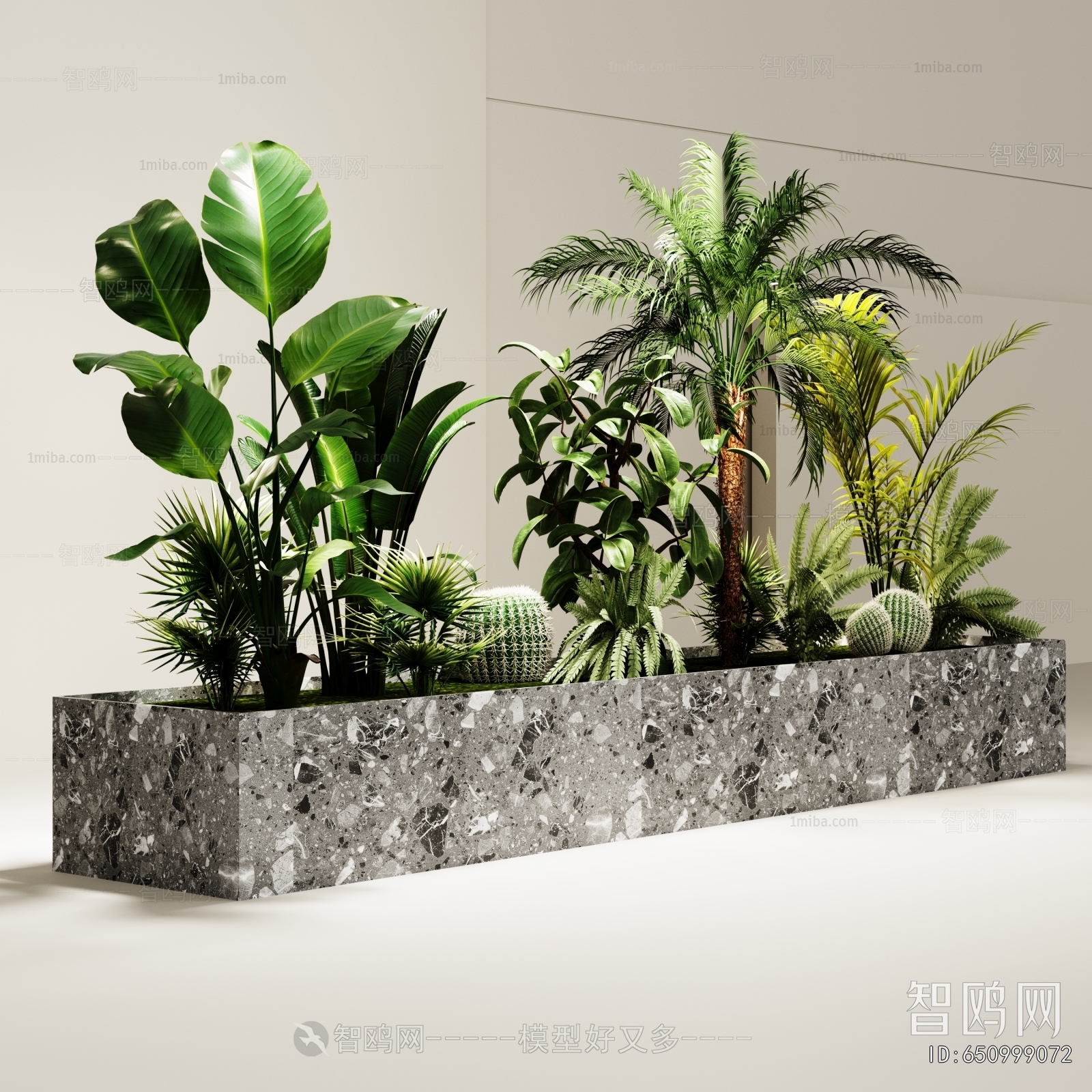 Modern Plant Landscaping