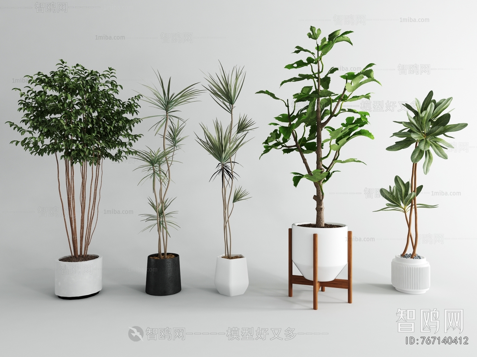 Modern Ground Green Plant Potted Plants