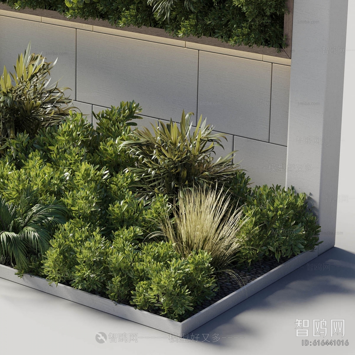 Modern Plant Landscaping