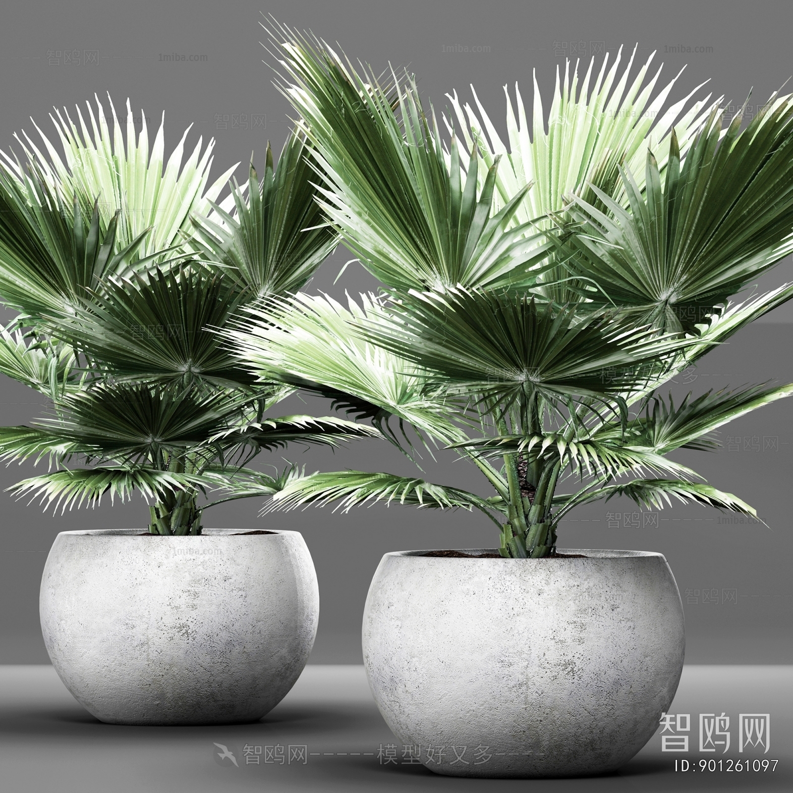 Modern Ground Green Plant Potted Plants