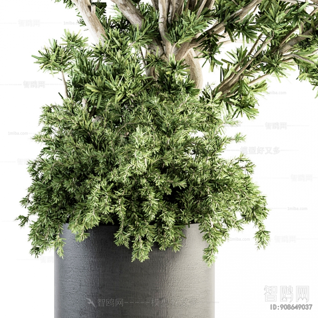 Modern Ground Green Plant Potted Plants