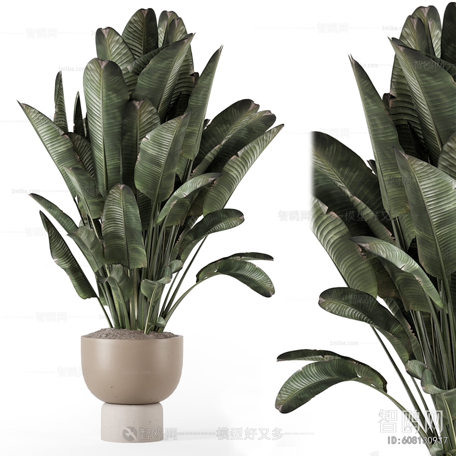 Modern Ground Green Plant Potted Plants