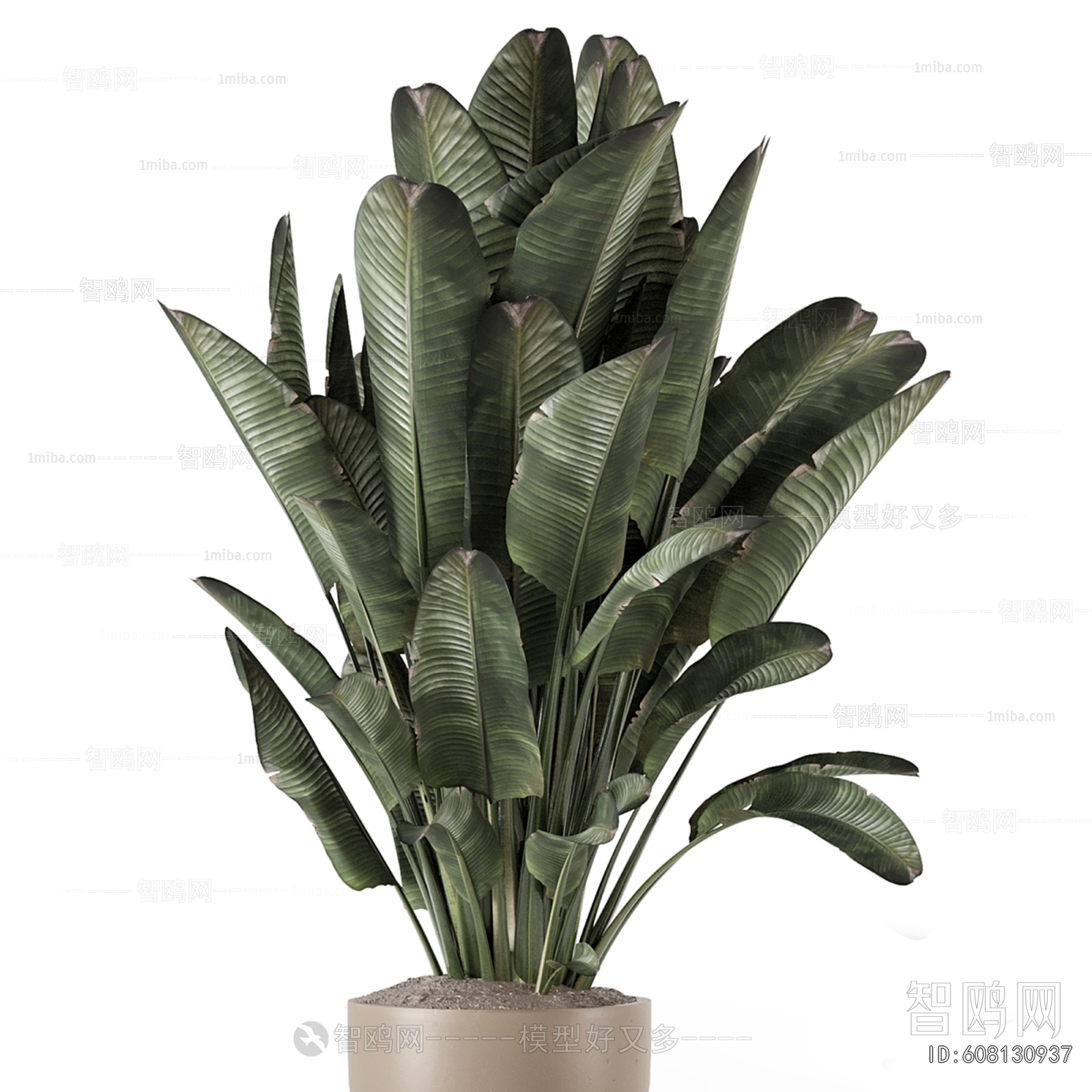 Modern Ground Green Plant Potted Plants