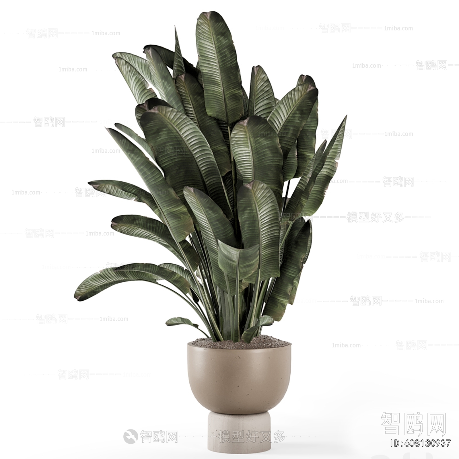 Modern Ground Green Plant Potted Plants