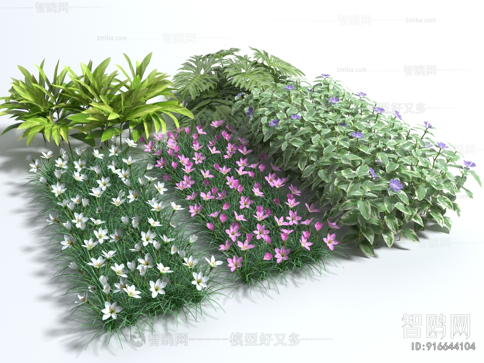 Modern Flowers And Grass