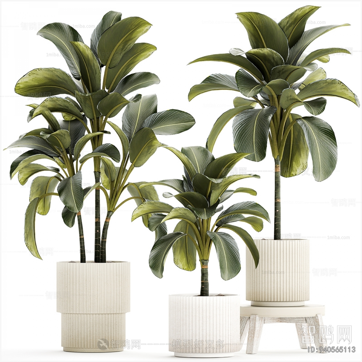 Modern Ground Green Plant Potted Plants