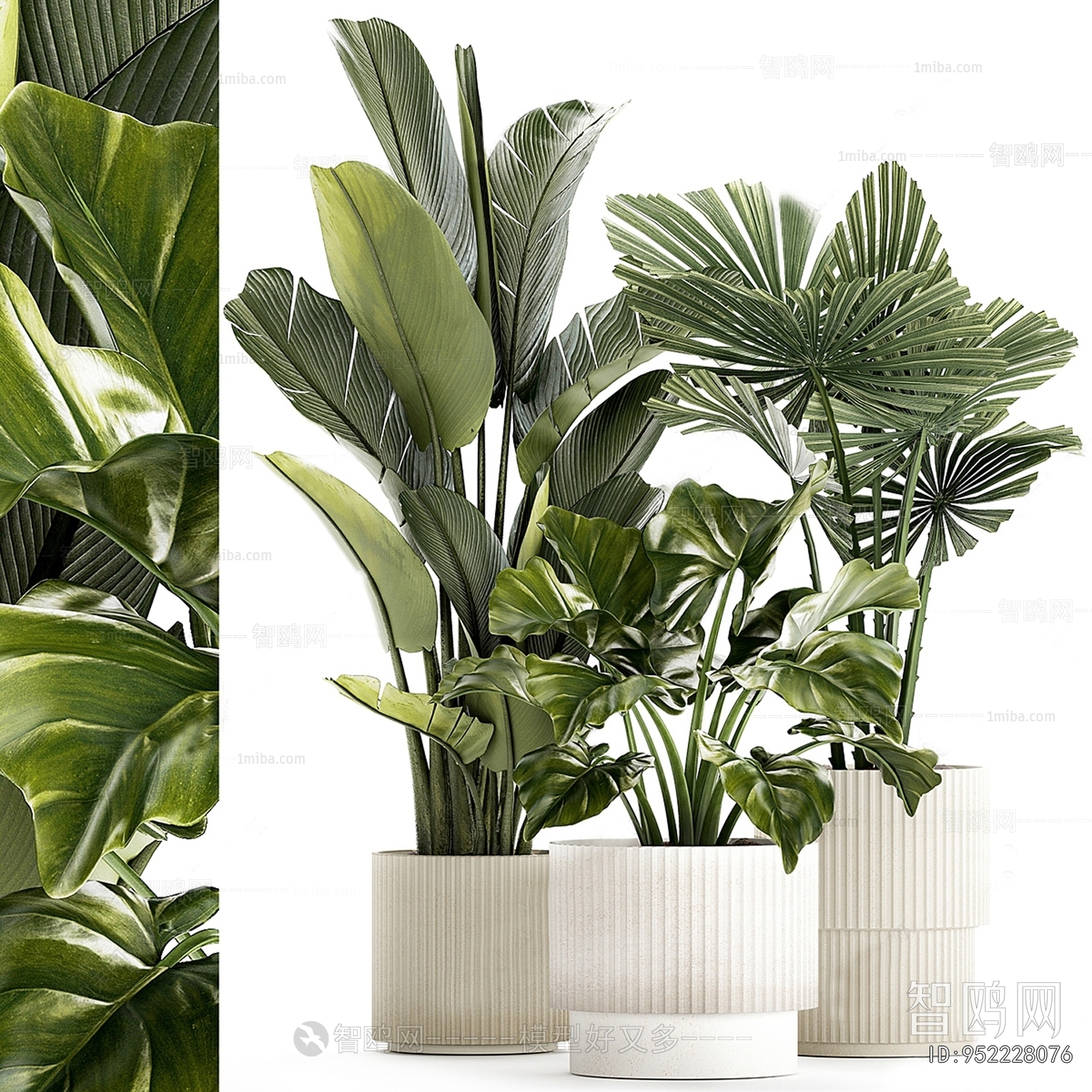 Modern Ground Green Plant Potted Plants