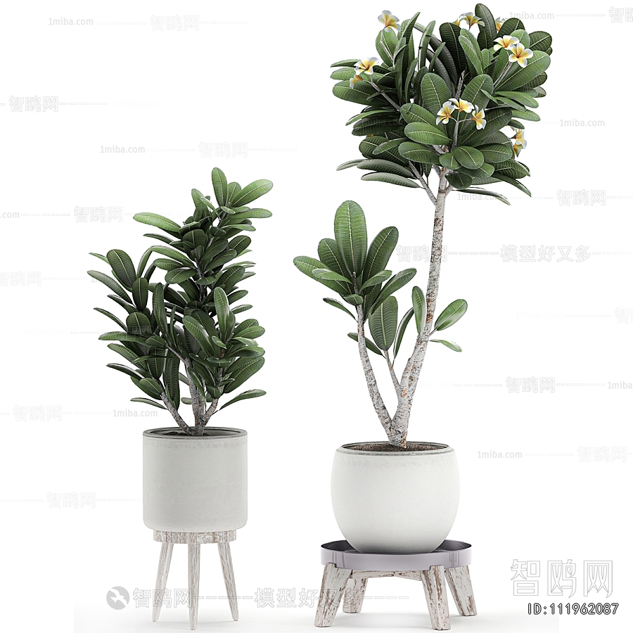 Modern Ground Green Plant Potted Plants