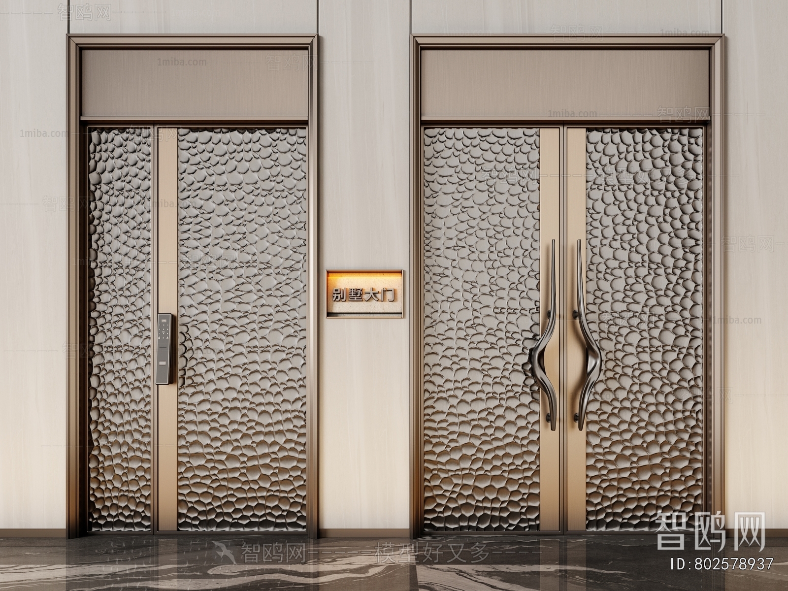 Modern Entrance Door