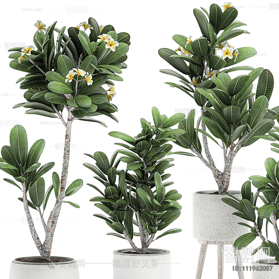 Modern Ground Green Plant Potted Plants