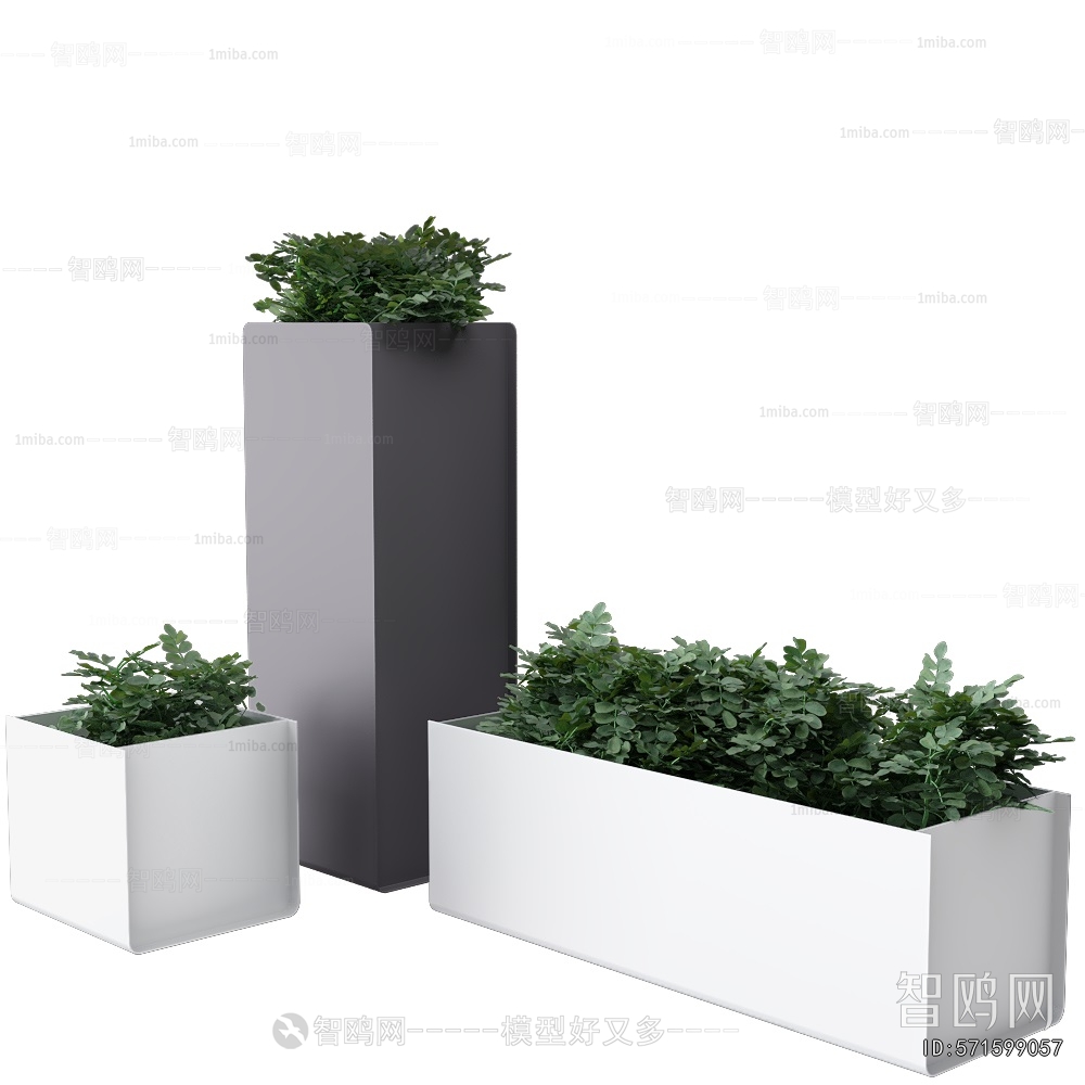 Modern Flower Bed, Flower Bowl, Flower Box