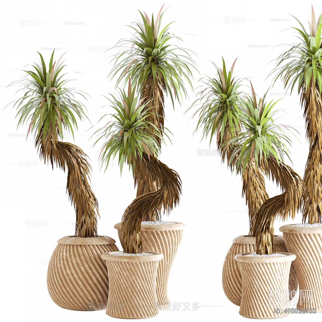 Japanese Style Ground Green Plant Potted Plants