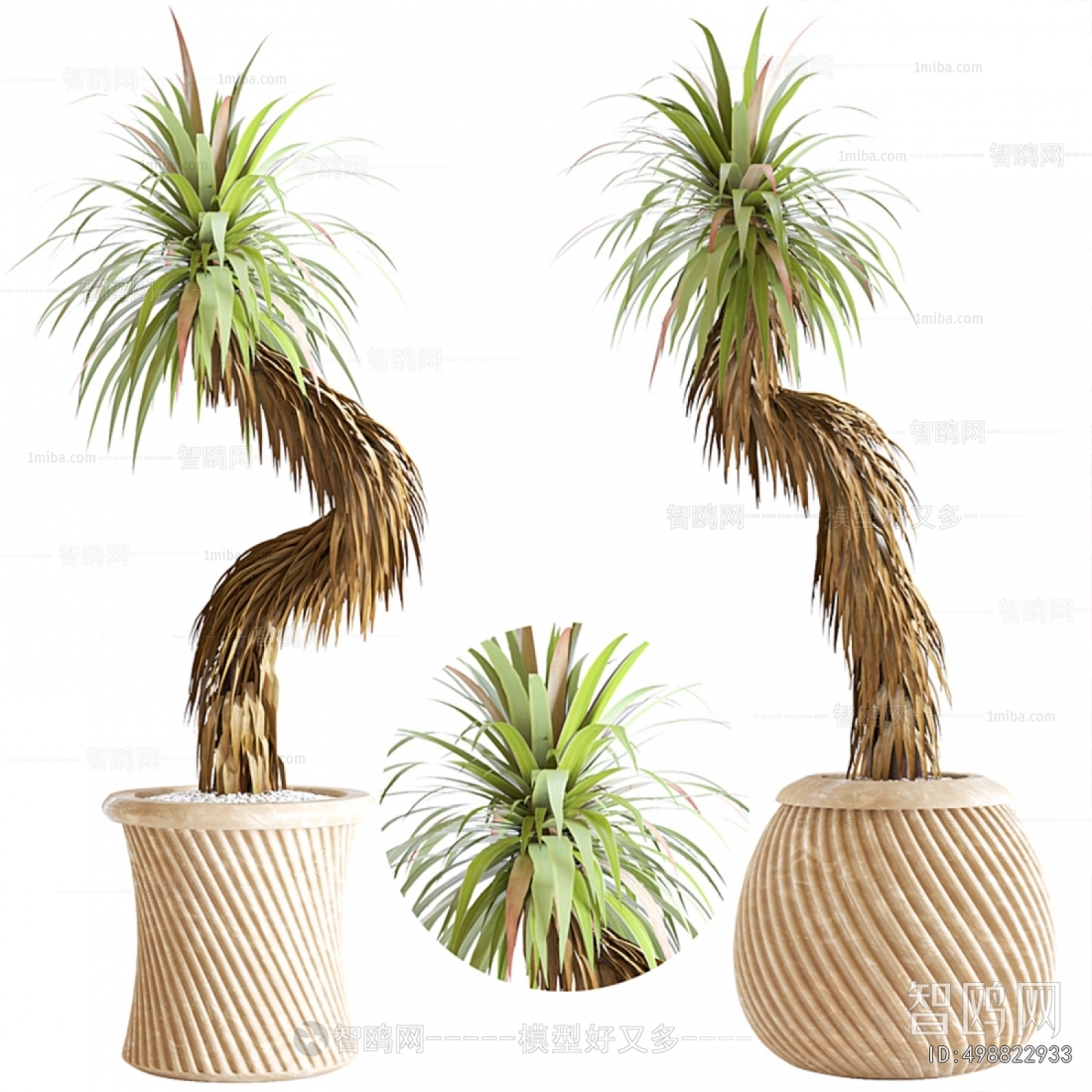 Japanese Style Ground Green Plant Potted Plants