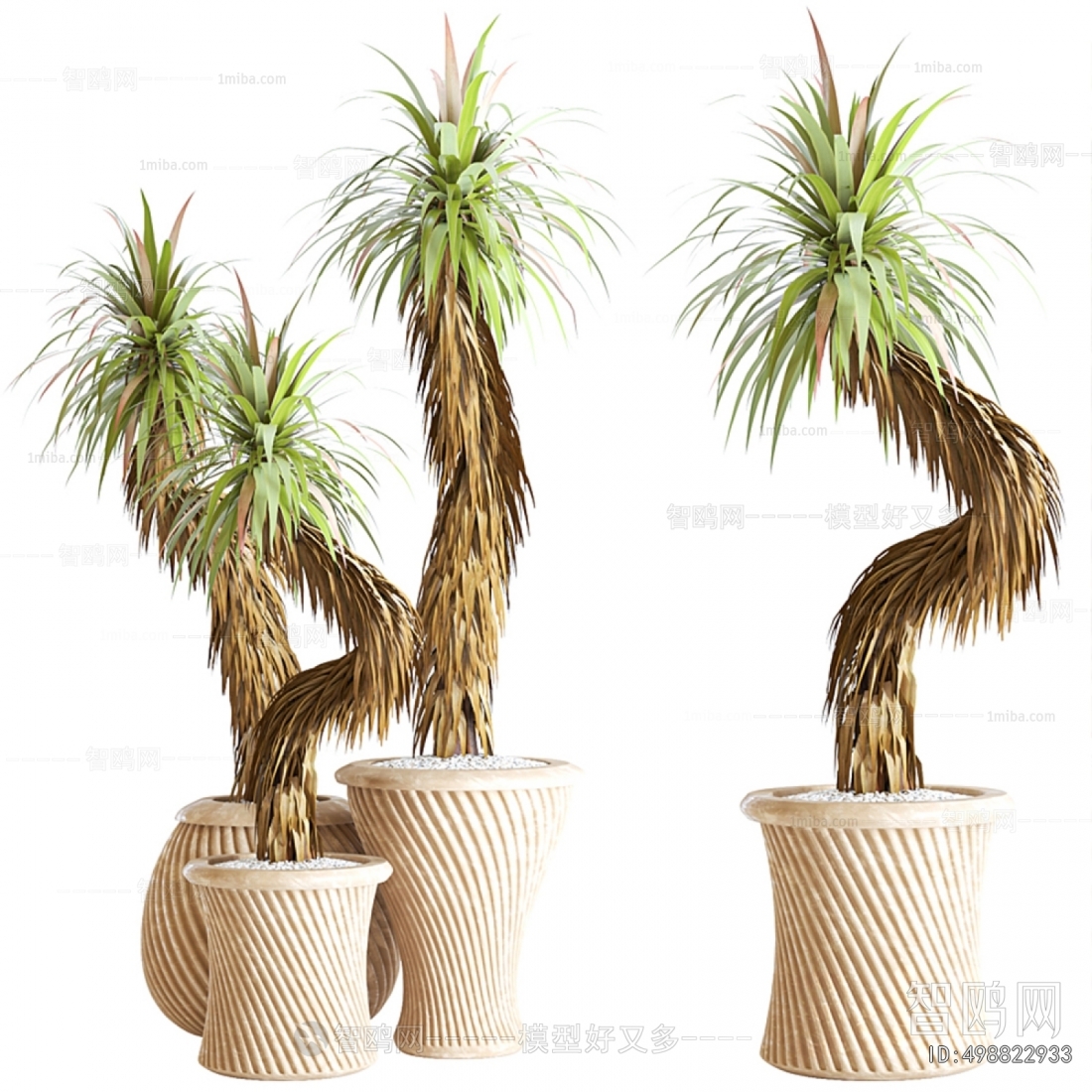 Japanese Style Ground Green Plant Potted Plants