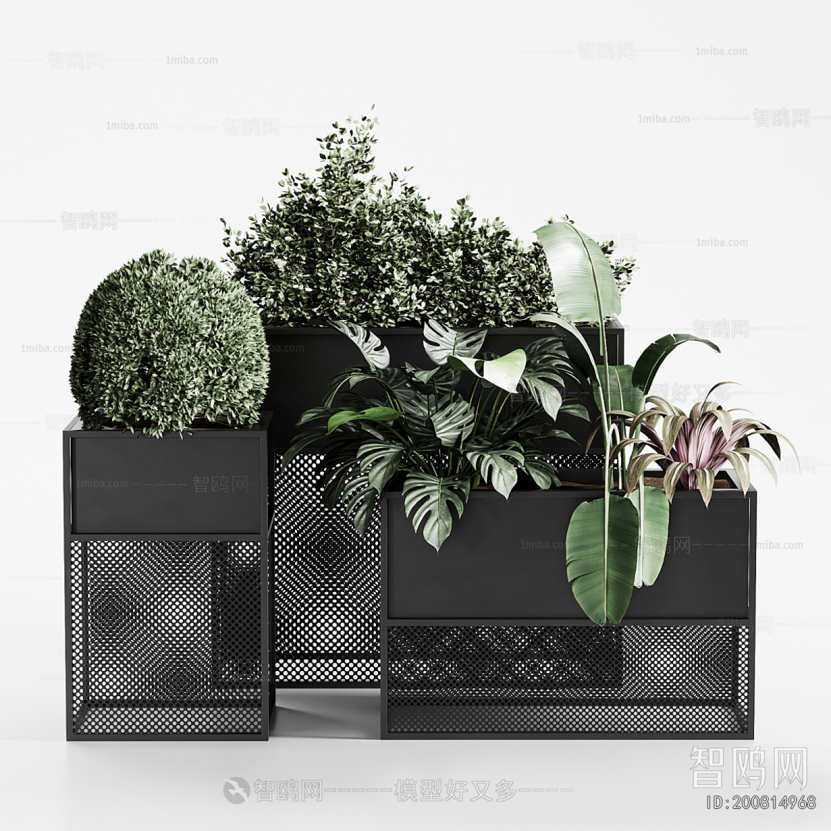 Modern Potted Green Plant